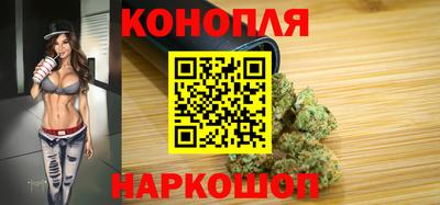 мяу мяу мука Гай