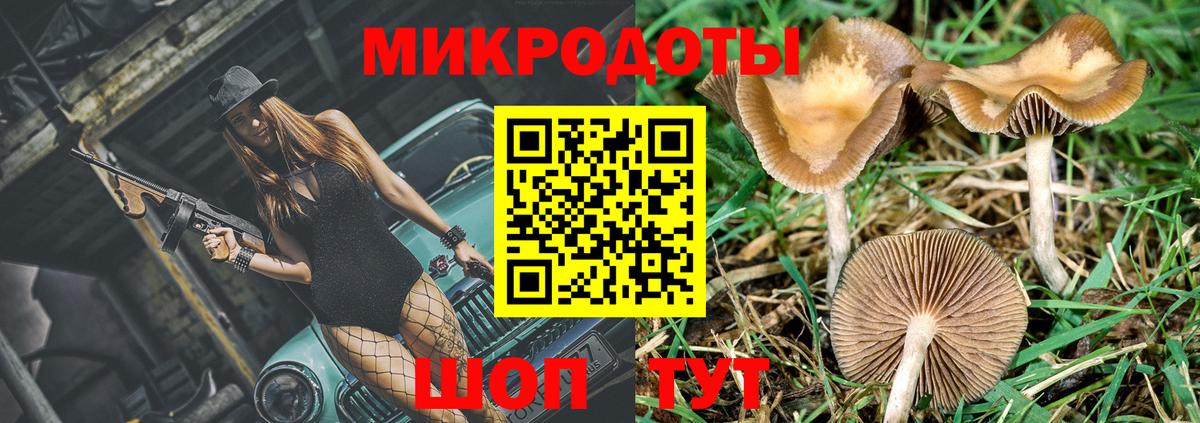 Галлюциногенные грибы GOLDEN TEACHER  магазин продажи   Вход с VPN  Клинцы  Галлюциногенные грибы Psilocybine cubensis 