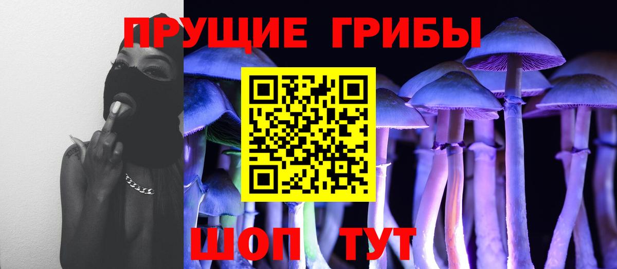 Псилоцибиновые грибы Magic Shrooms Клинцы