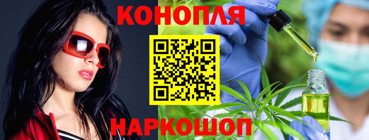 Шишки марихуана планчик Клинцы